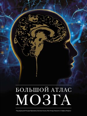 cover image of Большой атлас мозга